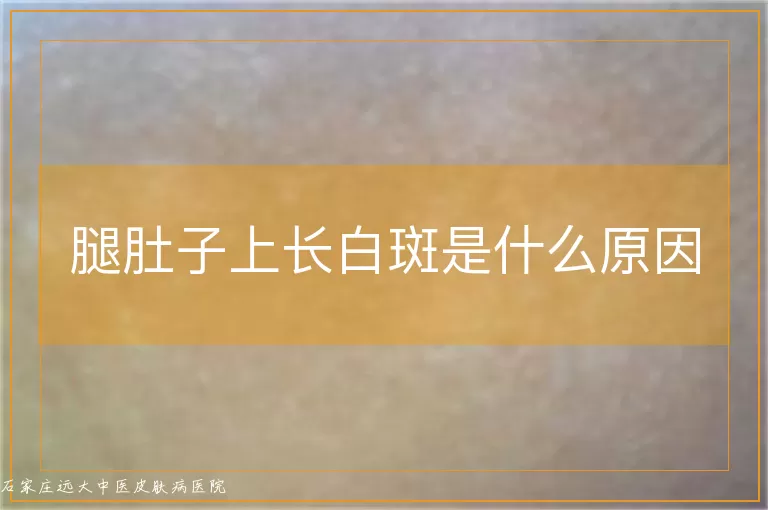 腿肚子上长白斑是什么原因