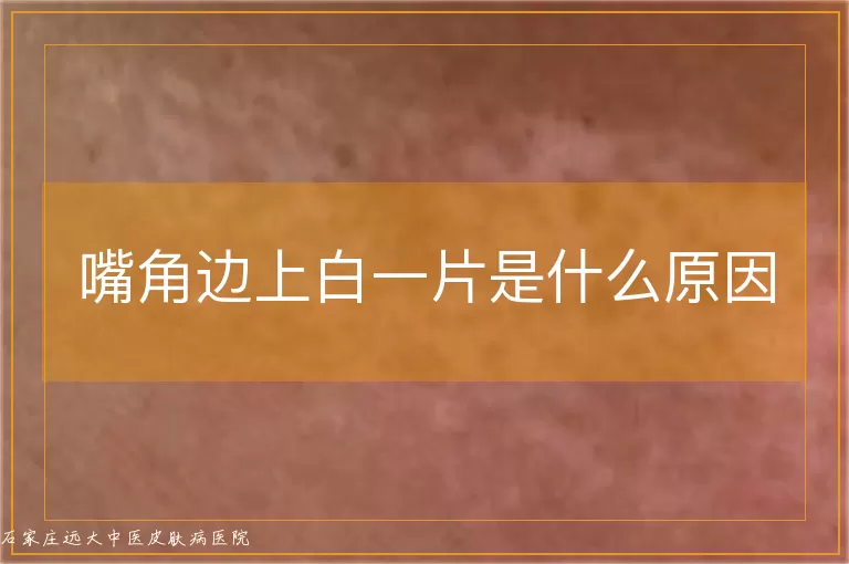 嘴角边上白一片是什么原因