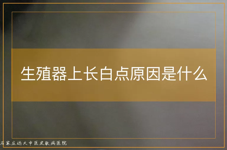 生殖器上长白点原因是什么