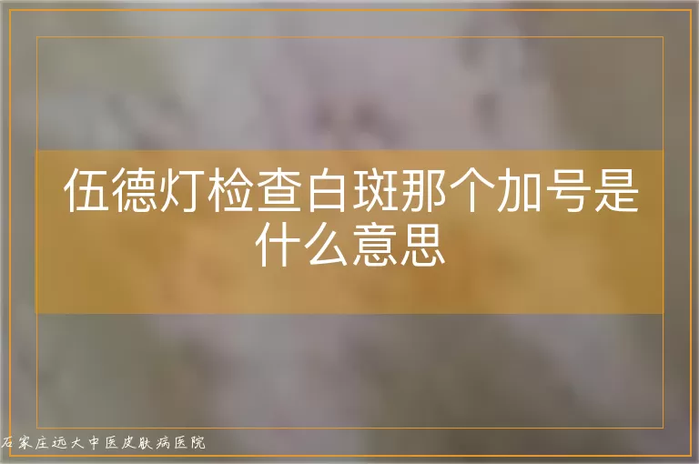 伍德灯检查白斑那个加号是什么意思