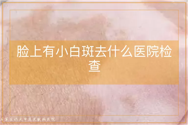 脸上有小白斑去什么医院检查