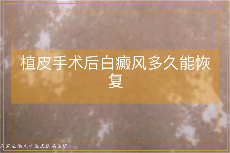 植皮手术后白癜风多久能恢复