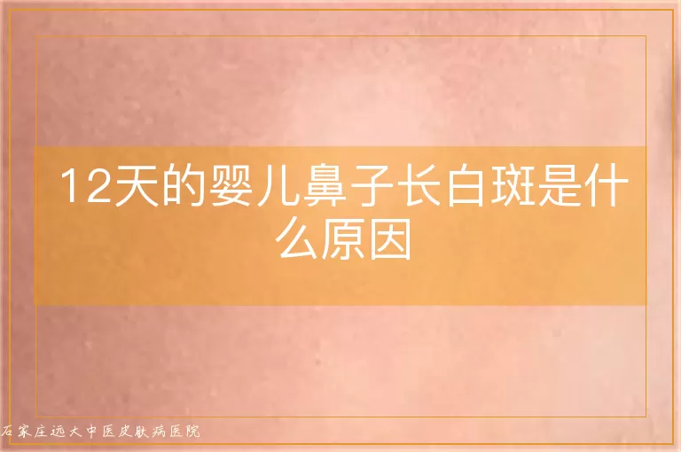 12天的婴儿鼻子长白斑是什么原因