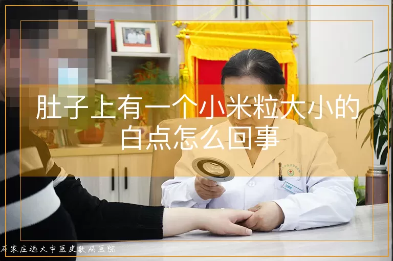 肚子上有一个小米粒大小的白点怎么回事