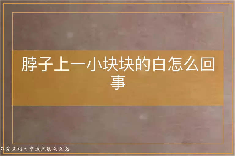 脖子上一小块块的白怎么回事