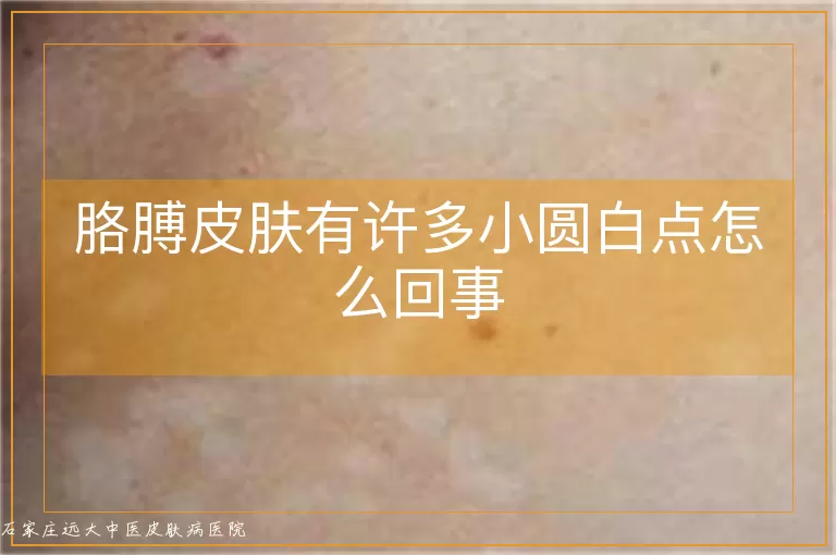 胳膊皮肤有许多小圆白点怎么回事