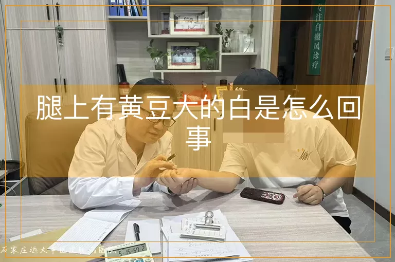 腿上有黄豆大的白是怎么回事