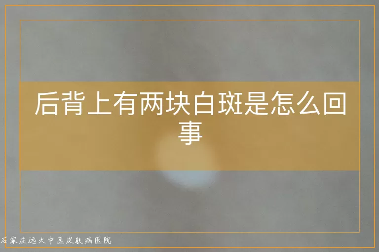 后背上有两块白斑是怎么回事