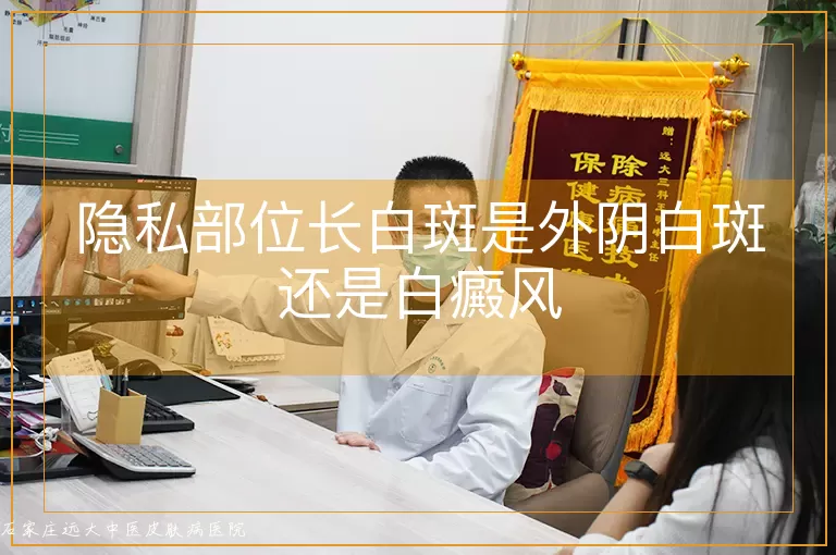 隐私部位长白斑是外阴白斑还是白癜风